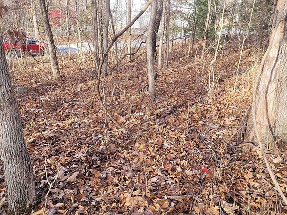 2nd image of LOT 8 Plymouth Rock Rd