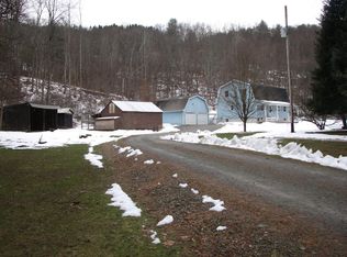 167 Ollies Rd, Sugar Run, PA 18846