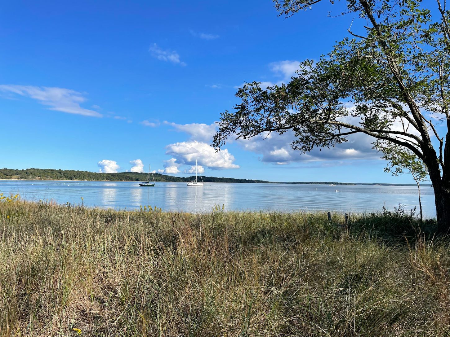  South Ferry Hills Association