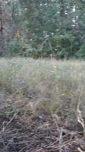 E Mayland Dr, Crossville, TN, 38571