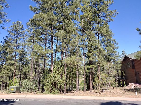 3rd image of 490 Rockcress Ln
