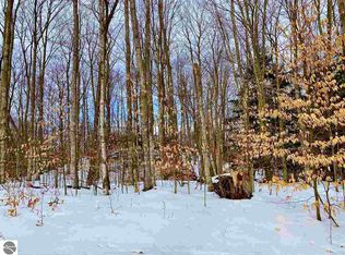 1732 E Old Mountain Rd, Cedar, MI 49621