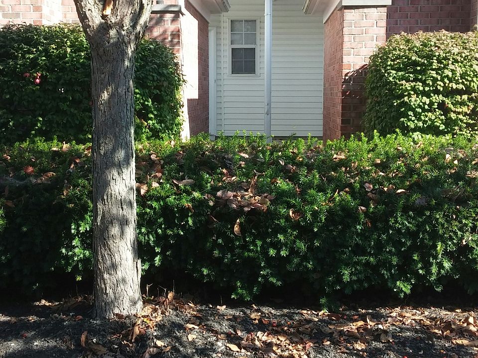 1st image of 5782 Albany Grn