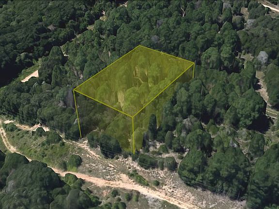 2nd image of 1111 Pine Lodge Dr