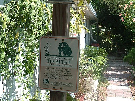 Nature Friendly