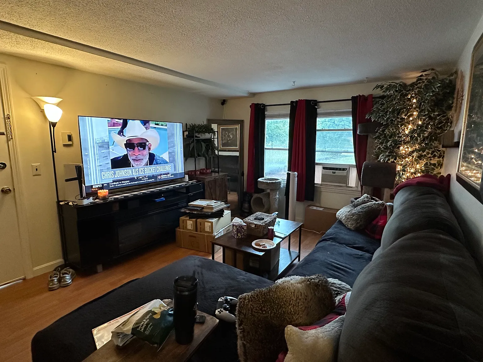 2 bed, 690 sqft, $1,900 — Photo 4