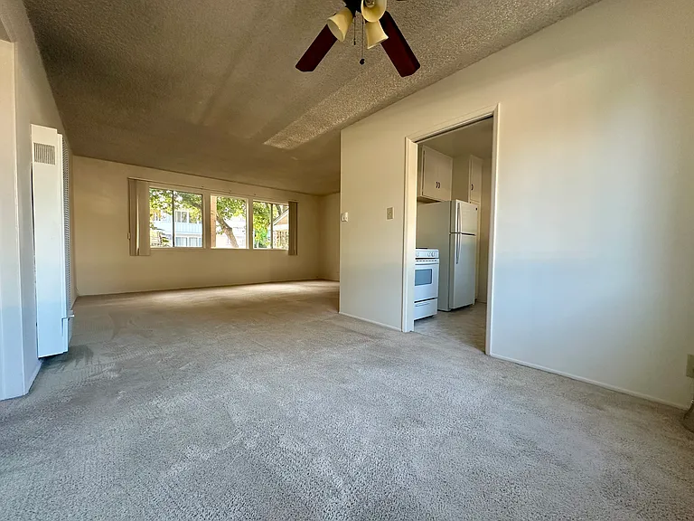 Anita Oaks — Photo 17