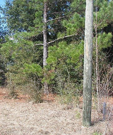 3rd image of Spear Point Ln