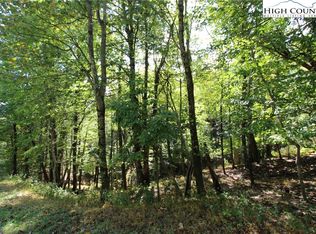 Little Laurel Rd, Boone, NC 28607