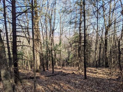 Whippoorwill Rd, Wytheville, VA, 24382