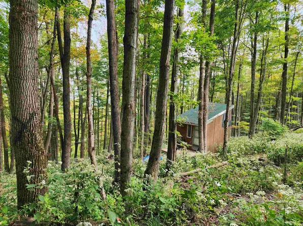 37 Rocky Rd, Harman, WV 26270