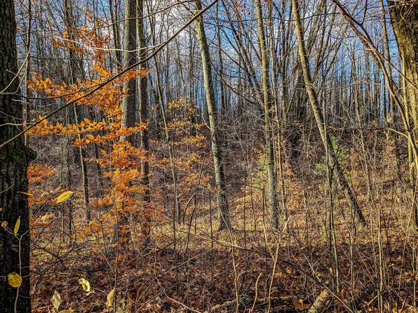 LOT 97 Oak St, Lake, MI 48632