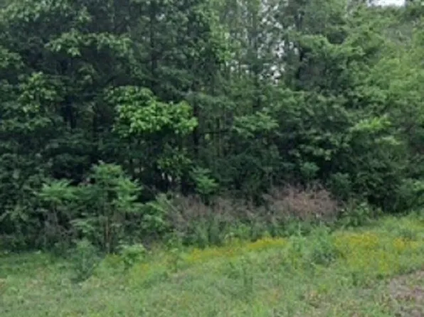 21 Murphy Ln, Burlison, TN 38015
