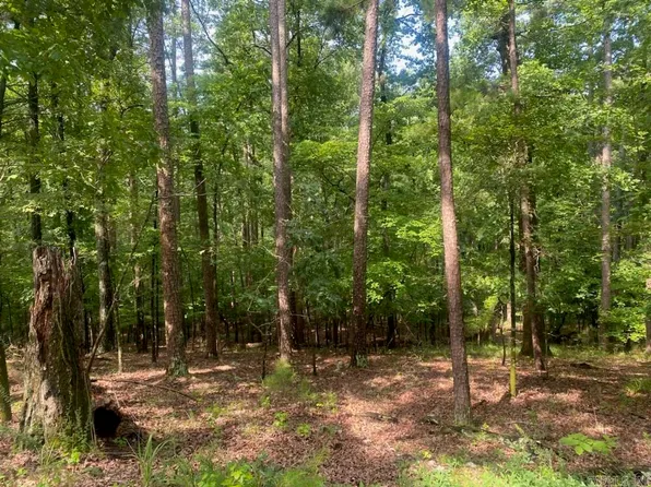 11 Southridge Dr, Mount Ida, AR 71957