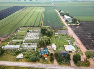 393 Canal Rd, Bradford West Gwillimbury, ON L3Z4C4