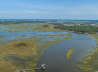 436 Elfes Field Ln, Charleston, SC 29492
