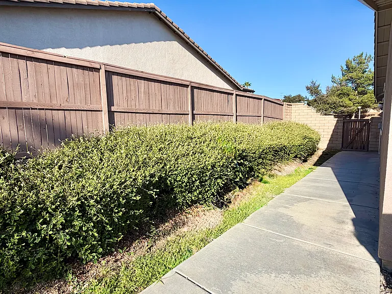 252 Finley Ave — Photo 19