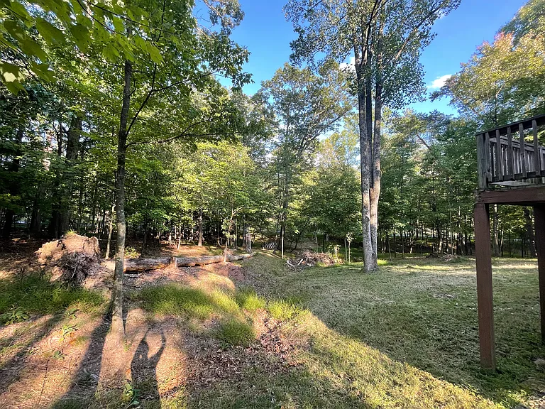 10 Pileated Woodpecker Ln — Photo 31