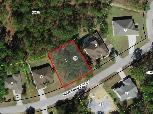 8 Maidenbush Ct E, Homosassa, FL 34446