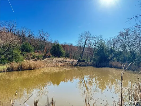 Madison #7670, Hindsville, AR 72738