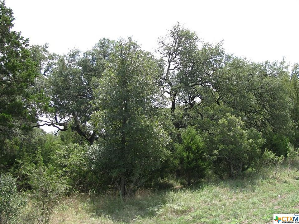 1st image of 2666 Black Bear Dr