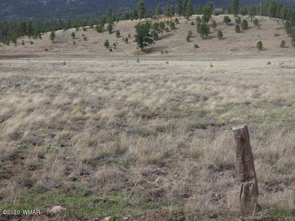 LOT-22A The Rnch #AT, Alpine, AZ 85920