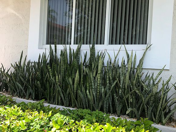 5th image of 1145 99th St