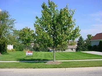 1st image of 710 Lake Park Dr