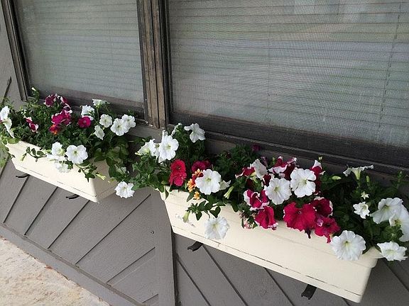 Flower boxes on porch