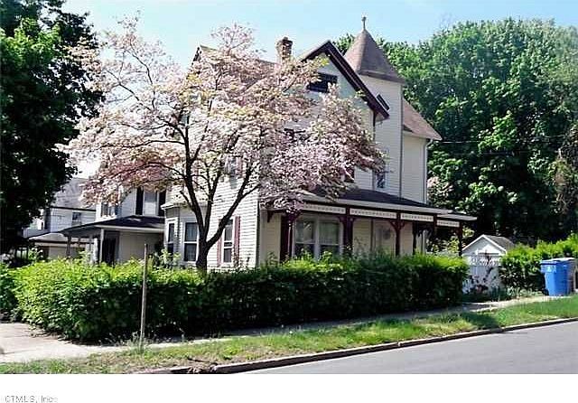 chestnut in the spring