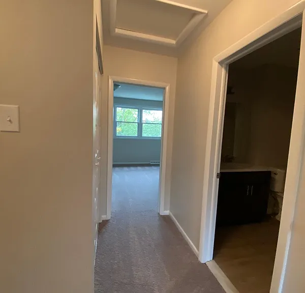 1438 Boxwood Dr — Photo 12