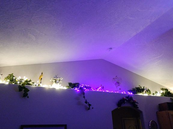 Plant Shelves with Lights