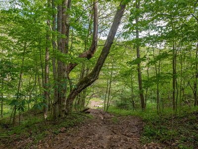 2432 Johnsons Run Rd, Stout, OH, 45684