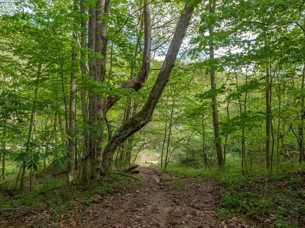 2432 Johnsons Run Rd, Stout, OH 45684