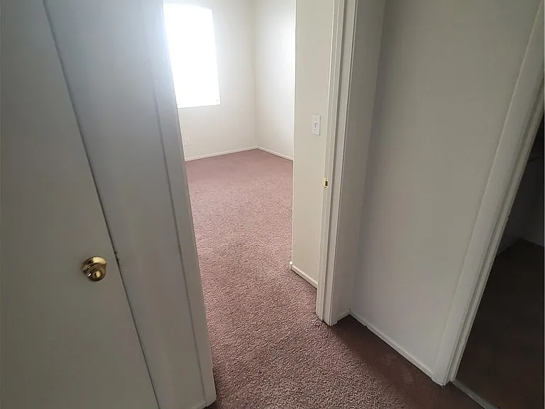 3119 Sentimental Ct — Photo 55