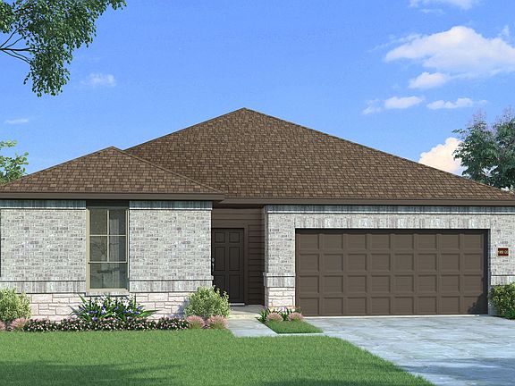 Elderberry with Elevation GS