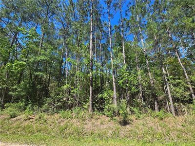 0 Niblick St, Abita Springs, LA, 70420