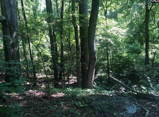 1010 Butter St, Landrum, SC 29356