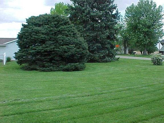 4th image of 233 Emerald Ln