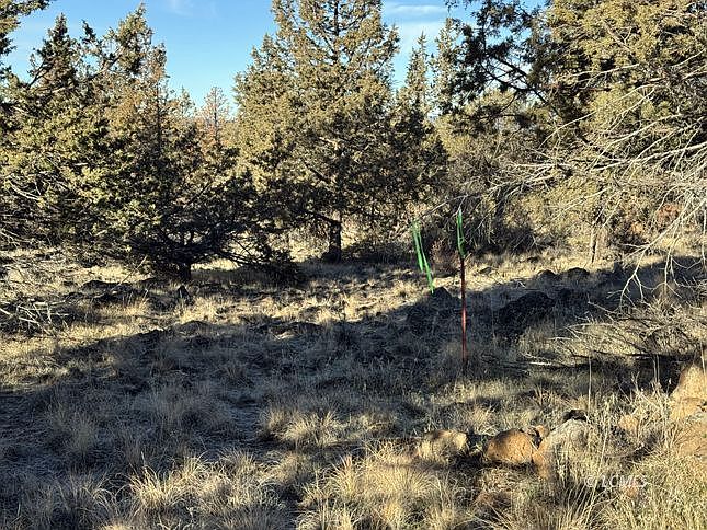 1st image of Canvasback Dr