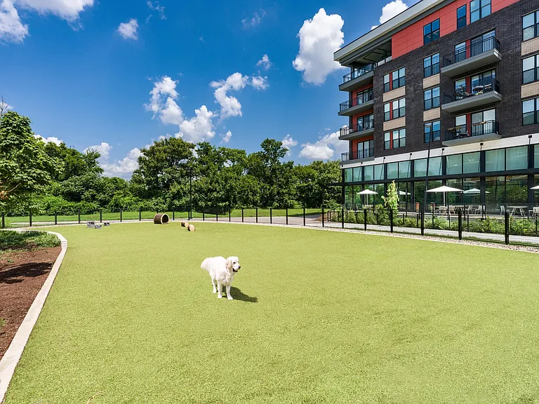 Room to roam and play_our expansive, fenced dog park is designed with your pup in mind.