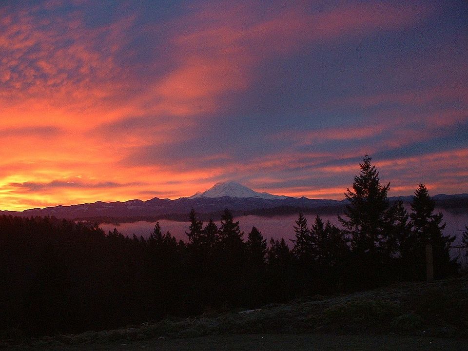 Stunning Mt Rainier View