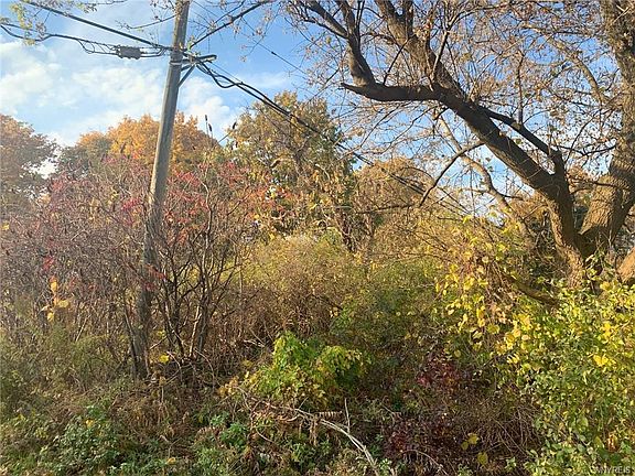 3rd image of 8160 Sheridan Dr