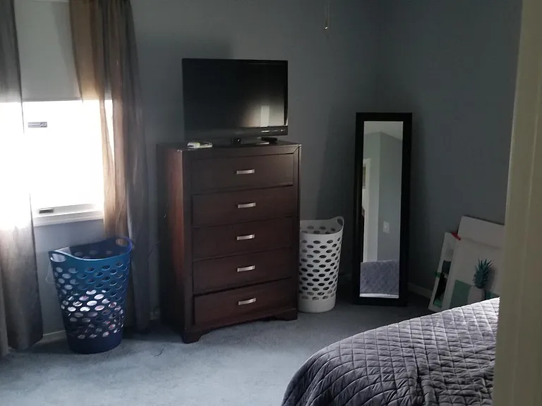 49 Honeysuckle Dr — Photo 9