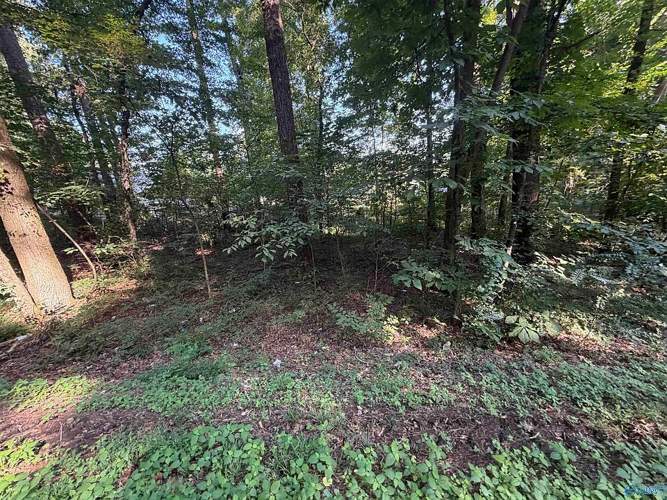 1st image of LOT 38 Creek Path Browns Valley Rd