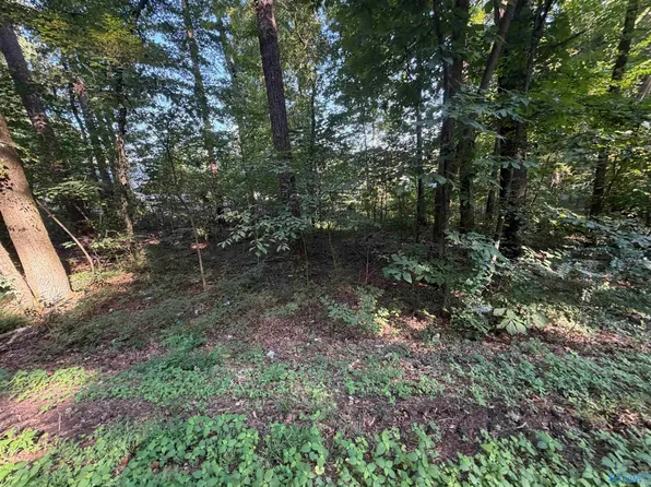 LOT 38 Creek Path Browns Valley Rd, Guntersville, AL 35976