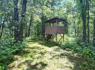39AC N River Rd, Danbury, WI 54830