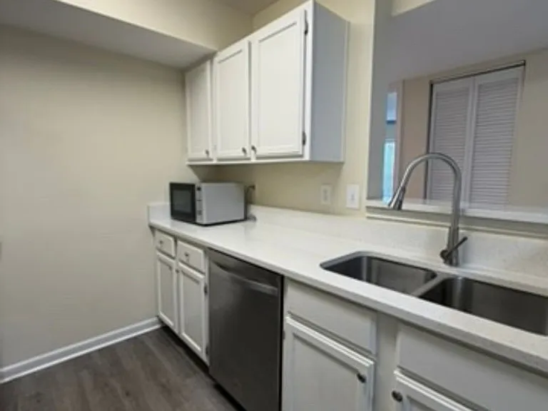 4100 Dancing Cloud Ct #271 — Photo 2