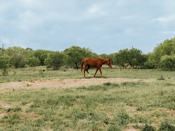 1065 fm 477, Seguin, TX 78155