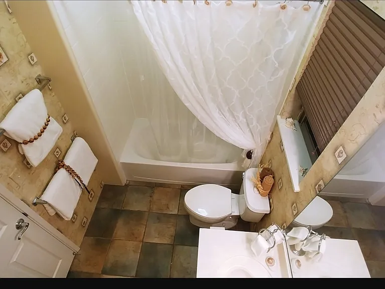 Guest bath - garden level
